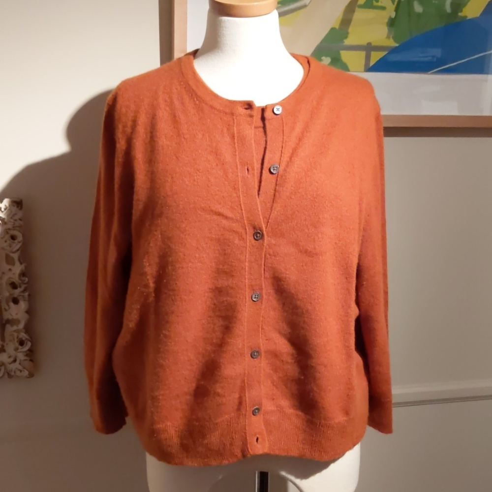 Ann Taylor 100% cashmere twin set. XXL.